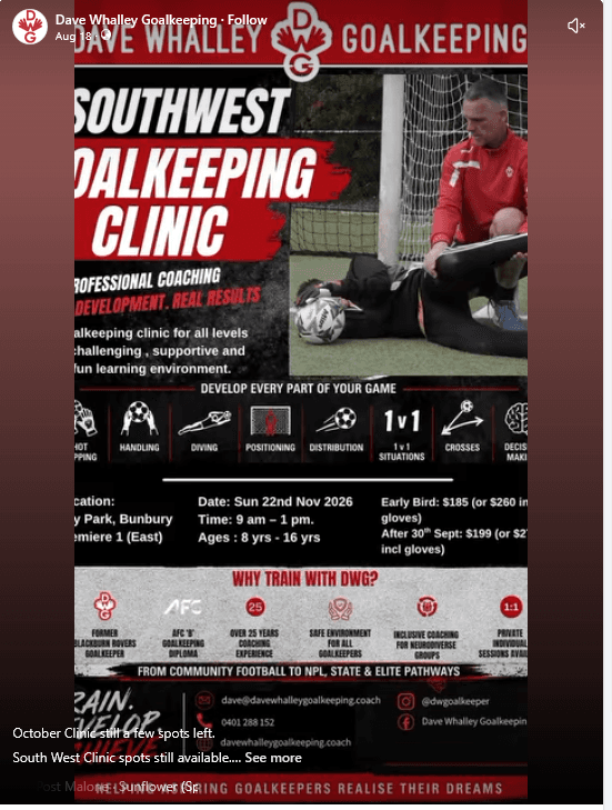 Flyer for South West goalkeeping clinic, supplied by Dave Whalley Goalkeeping